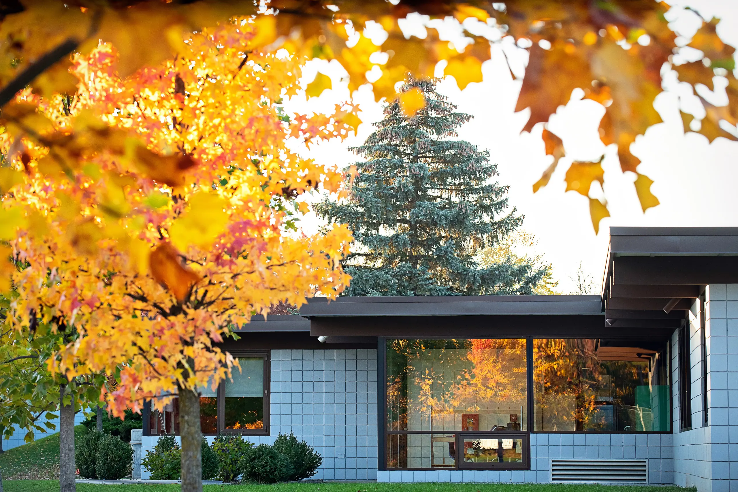 The Earhart Campus in fall colors