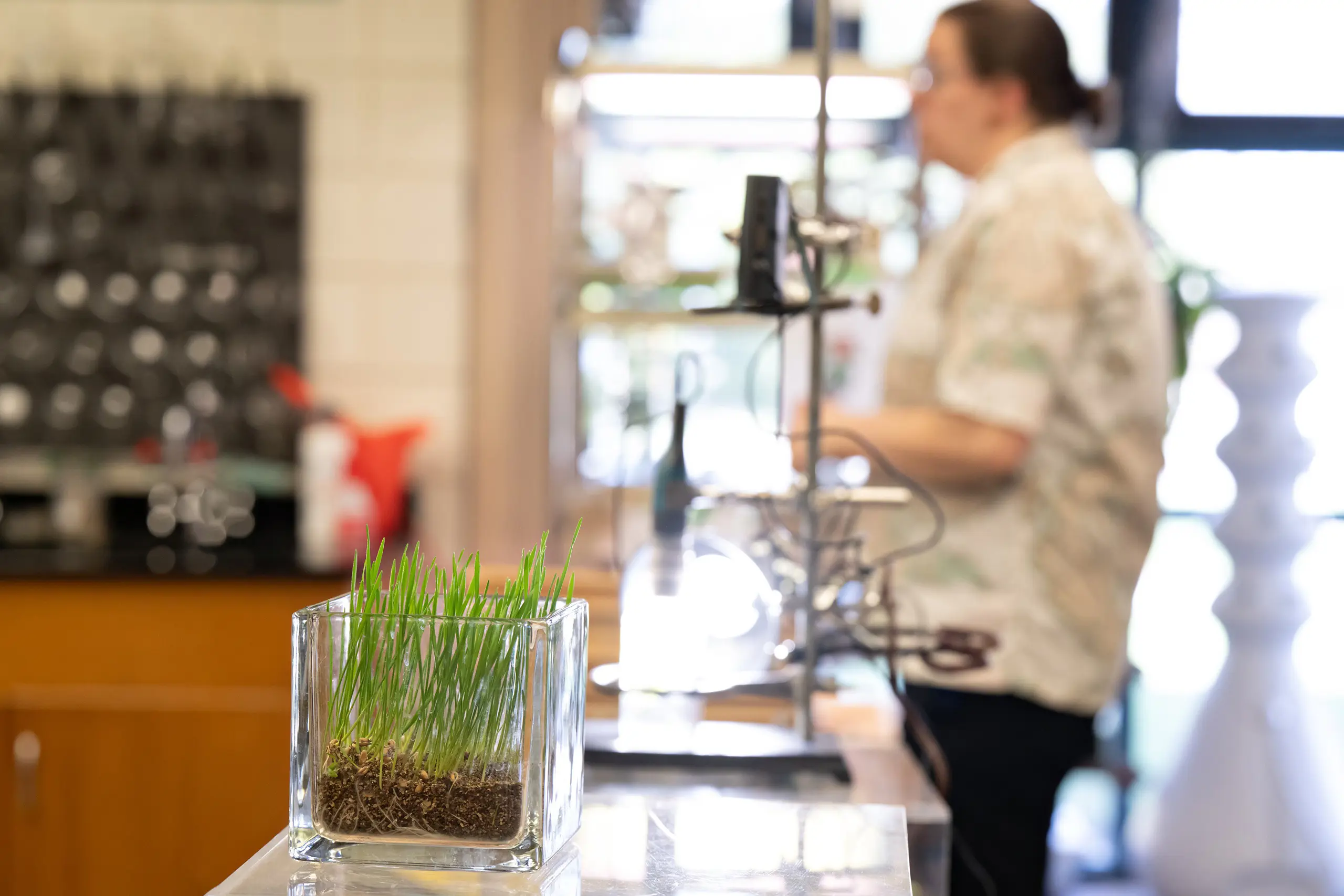 Grass on science table