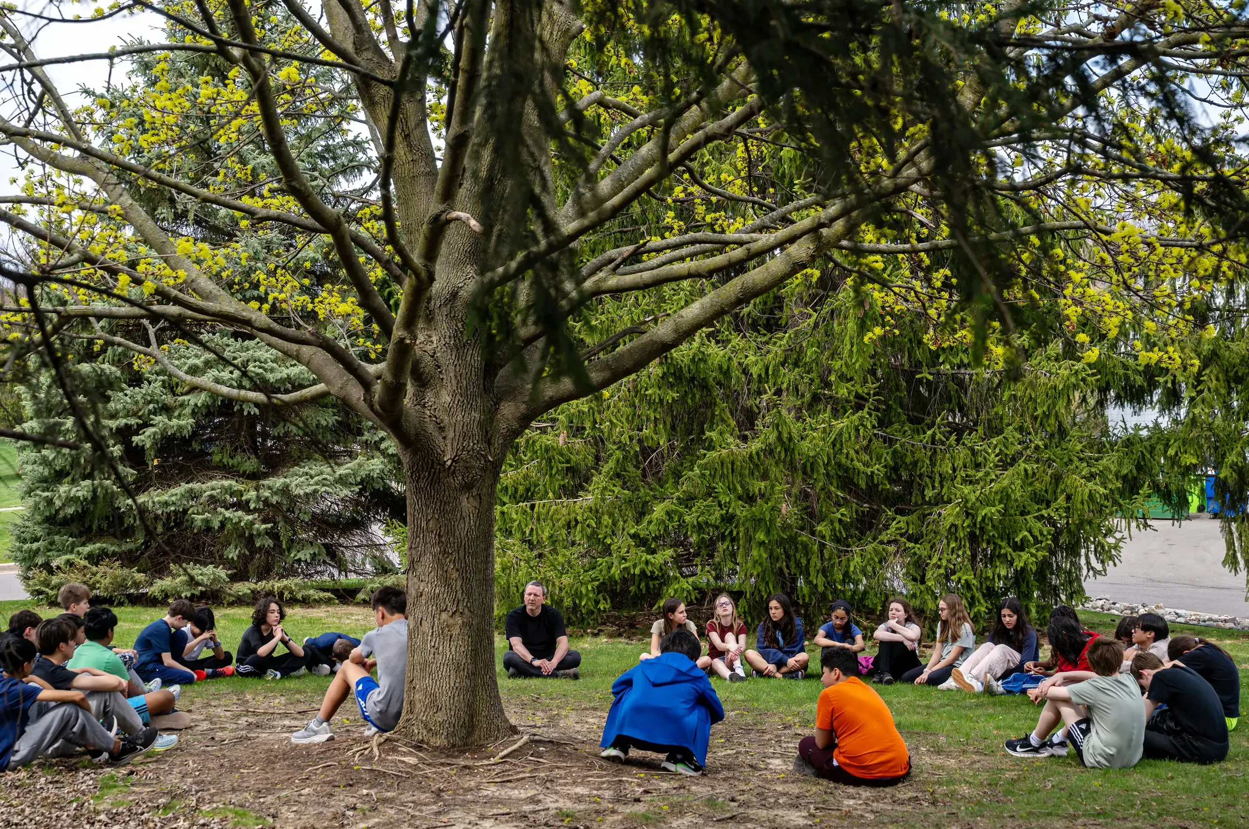 Students sitting beneath tree