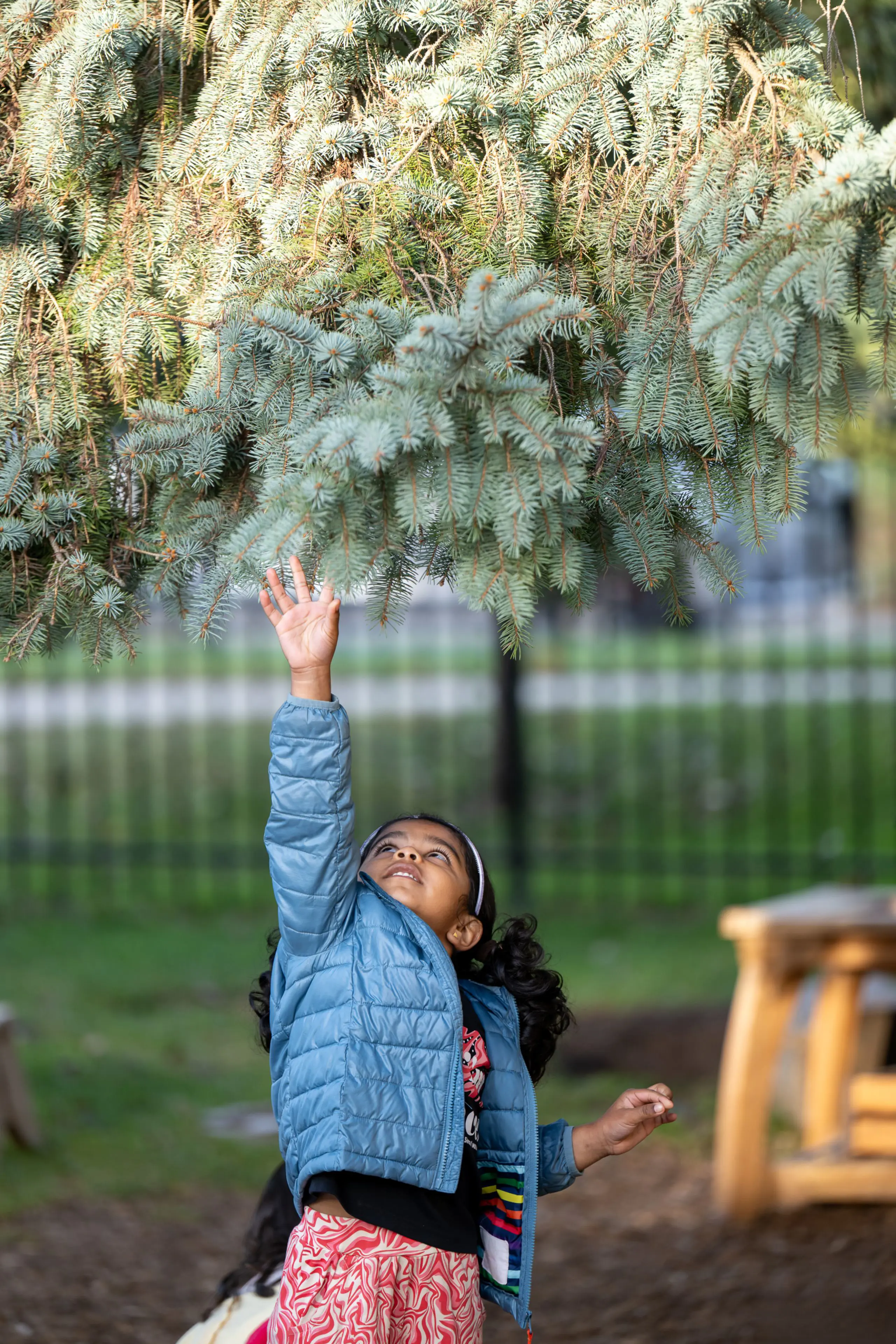 Girl reaching for tree branch