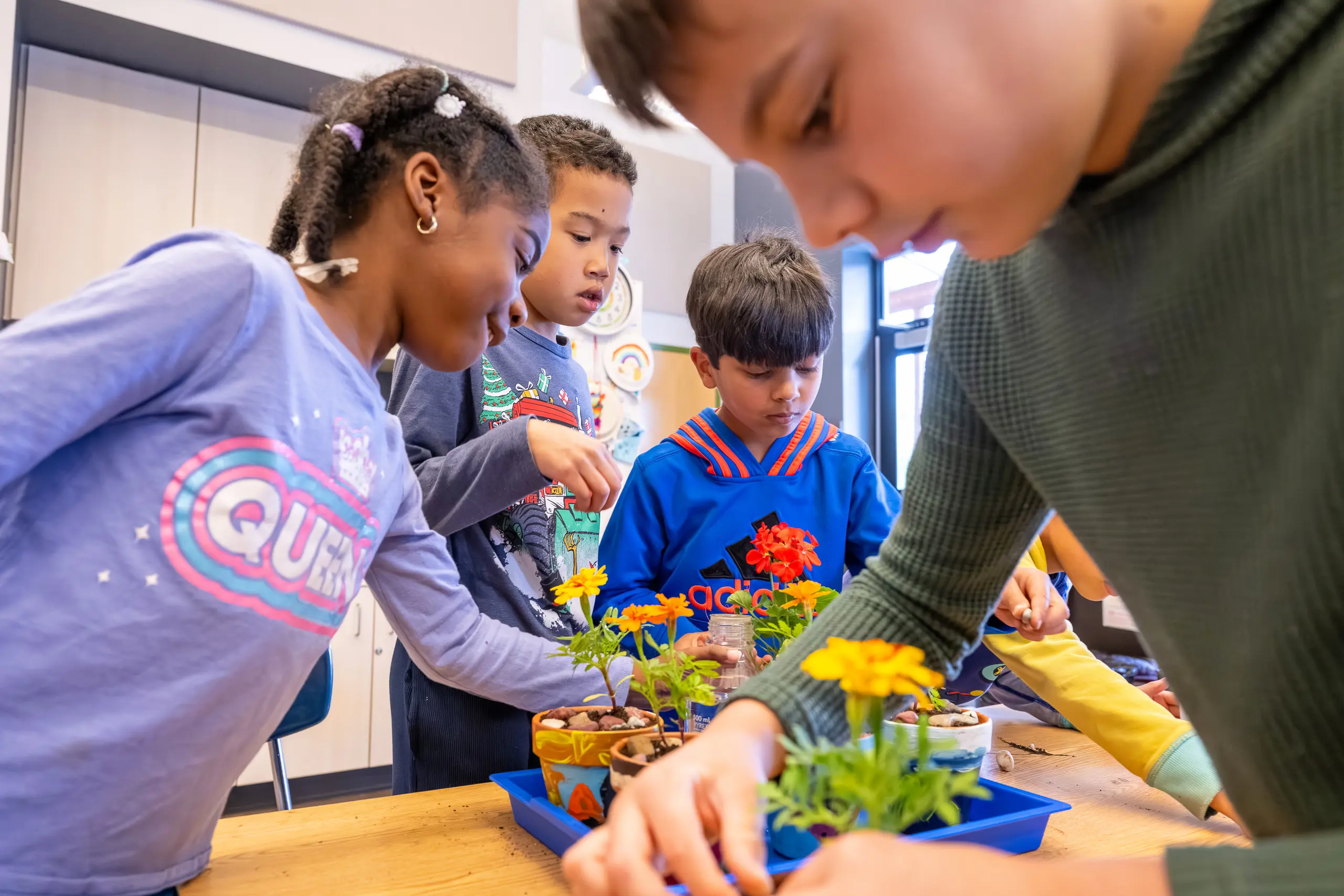 Students in class collaborating